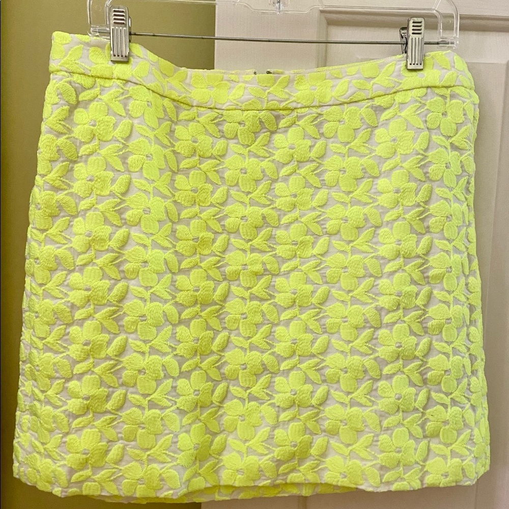 J. Crew Skirt